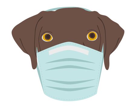 Dog with protective mask on whiteのイラスト素材