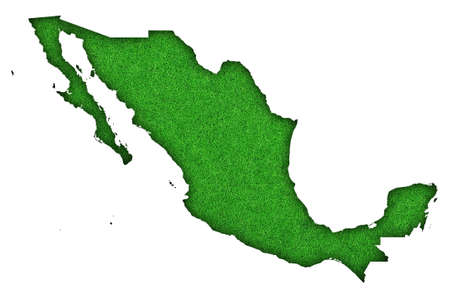 Map of Mexico on green feltの写真素材