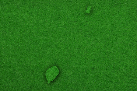 Map of Sao Tome and Principe on green feltの写真素材