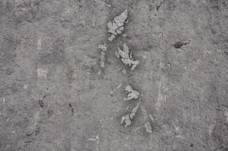 Map of Hebrides on weathered concreteの写真素材