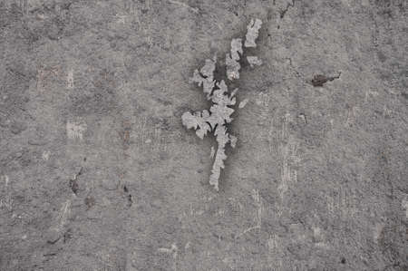 Map of Shetland Islands on weathered concreteの写真素材