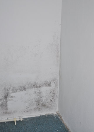 Detail of old building Repair of an apartment in need of renovationの写真素材