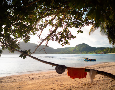 Clothes drying on a branch on a Seychelles beach with a blue and yellow boat behindの写真素材