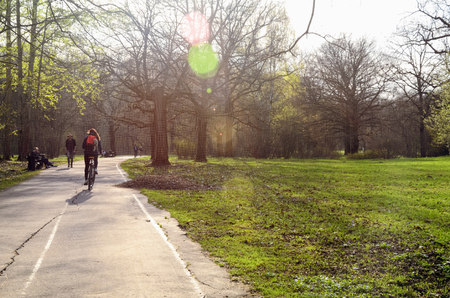 Asphalt Road in a Spring City Park on a Sunny Evening with a Girl on a Bicycle and People Walking...
