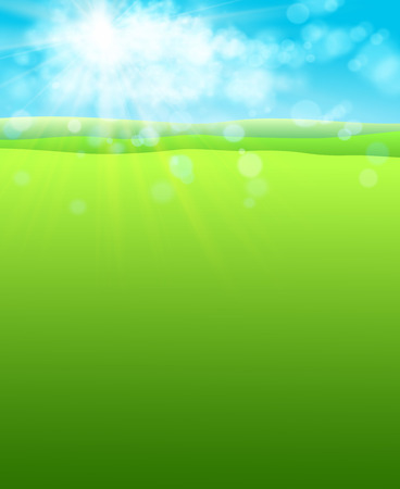 Summer warm background with sun and green field of grass. Vector.のイラスト素材