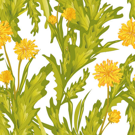 Seamless floral pattern with yellow dandelions and fresh green herbs. Summer botany.のイラスト素材
