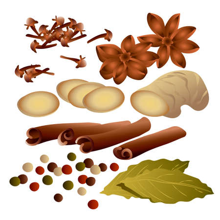 Aroma set vector illustrations of anis stars, cinnamon sticks, ginger root, multicolored peppercorns, bay leaf, allspice, clove isolated on white background.のイラスト素材
