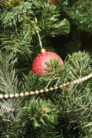 red ball hanging on Christmas tree as a decorationの写真素材