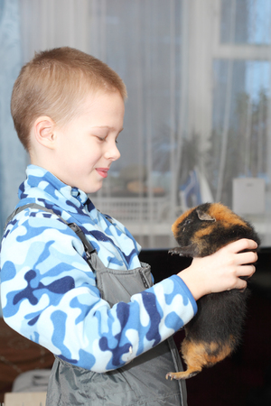 cute little child with the little cavy, side viewの写真素材