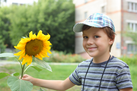 cute little boy with the big sunflowerの写真素材