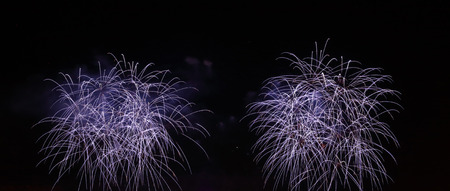 fireworks in the night sky