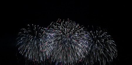 fireworks in the night sky