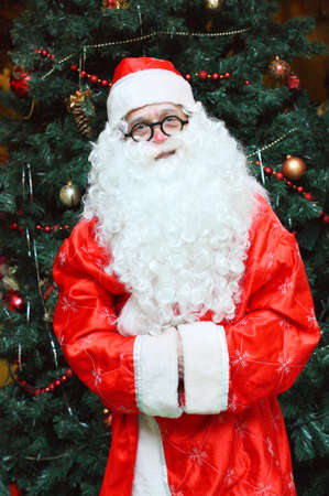 Old Father Frost and the New Year treeの写真素材