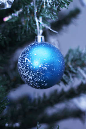 blue bauble hanging on the Christmas treeの写真素材