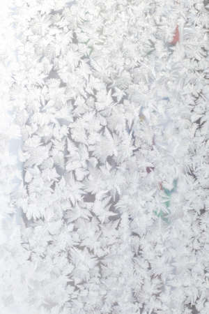 silver winter ice ornament on the glassの写真素材