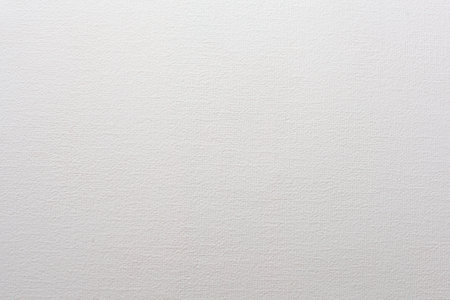 white decor ornament textured wallの写真素材