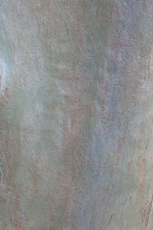 natural gray wooden tree trunk background verticalの写真素材