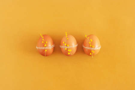 three brown easter eggs decorated with mimosa flowers, yellow background, top viewの写真素材