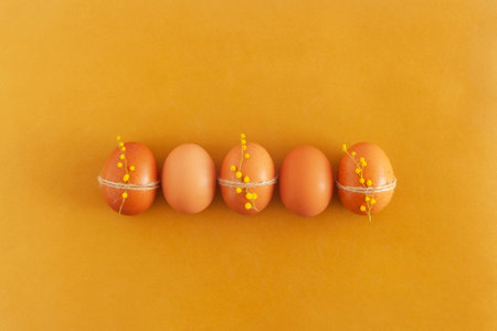 five brown easter eggs decorated with mimosa flowers, yellow background, top viewの写真素材