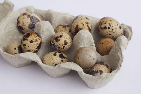 quail eggs in a paper container closeupの写真素材
