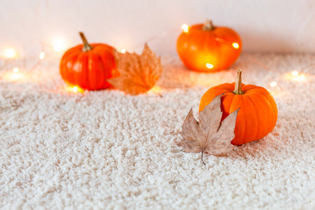 autumn composition with mini pumpkins and dry leaves, side view, selective focus, copyspaceの写真素材