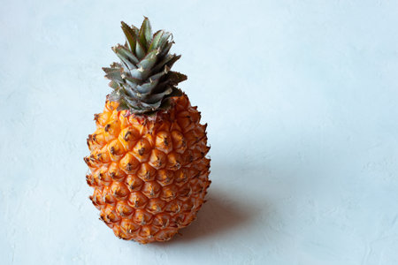 Pineapple fruit on the light blue backgroundの写真素材