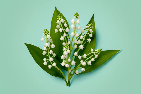 lily of the valley flowers bouquet on the mint green background, Generative AIの素材