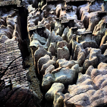 Wood after rain and wind for a long timeの素材