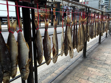 Dried salted fishes hanging outside - Hong Kongの写真素材