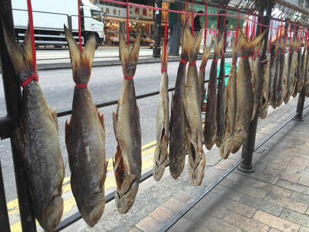 Dried salted fishes hanging outside - Hong Kongの写真素材