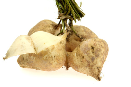 Yam bean or turnip in thailand and on white backgroundの写真素材