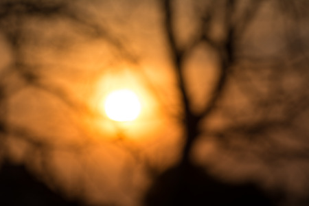 beautiful landscape image with trees silhouette at sunset,blur focusの写真素材