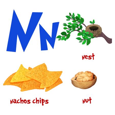 Vector cute kids cartoon alphabet. Letter N with nest, nachos and nut.のイラスト素材