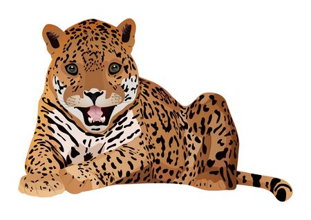 Cute cartoon tiger isolated on a white background. Vector illustration.のイラスト素材