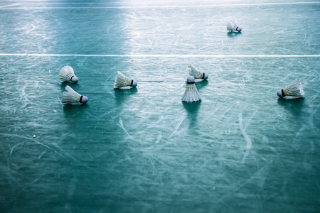 On the pitch, badmintonの写真素材