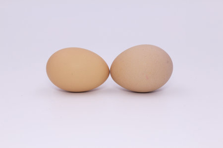 Two egg