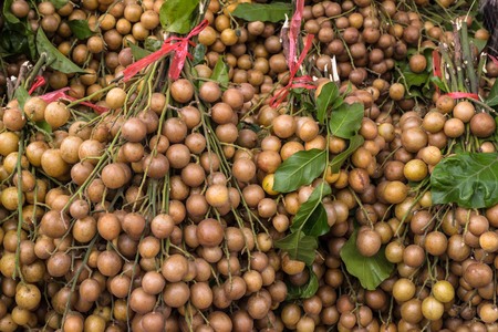 Wampee fruit