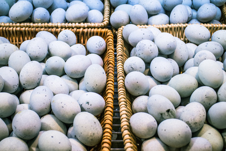 Century egg