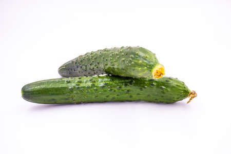 Cucumber in white backgroundの写真素材