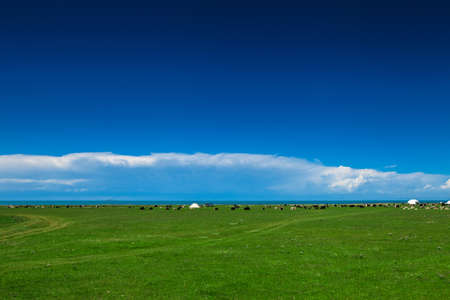 Plateau pastureの写真素材