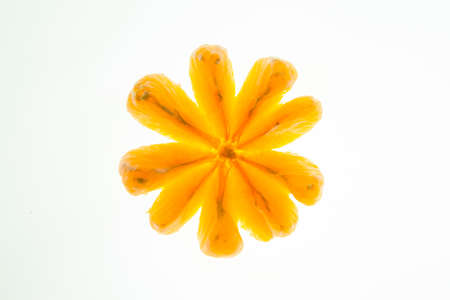 orangesの写真素材