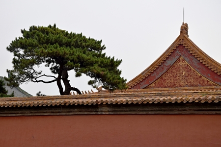 Red walls and ornamented gables are classical architecture in Forbidden City in Beijing, China.