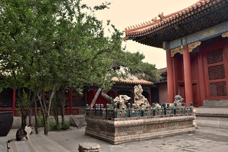 the Forbidden City in Beijing, China.のeditorial素材
