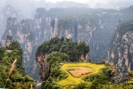 The small paddy fields inside the Avatar mountain, Zhangjiajie, in Hunan Province in China.