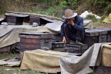 LI JIA SHAN, SHANXI PROVINCE CHINA, CIRCA MARCH 2013: The beekeeper sits in the middle of wooden bee...