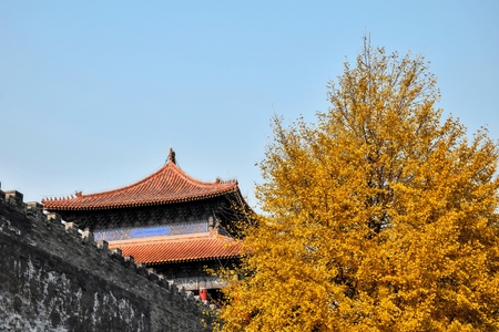 Autumn in the Forbidden City in Beijing.のeditorial素材