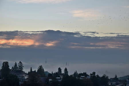 Sunrise in Prague, the capital city of the Czech Republic shrouded by morning mist. Cathedral of Saints Vitus in the background.の写真素材