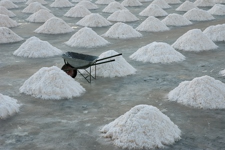 the collection of salt in the salt pans in Marsala, Italyの写真素材