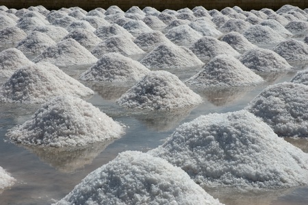 the collection of salt in the salt pans in Marsalaa, Italyの写真素材