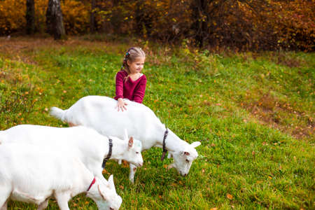 children in the autumn forest with goatの写真素材